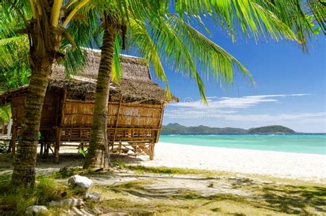 Bamboo Hut On Tropical Beach Stock Image Image Of Paradise Molder