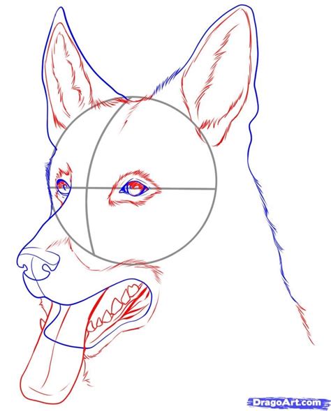 How To Draw A Realistic Dog Really Easy Drawing Tutor