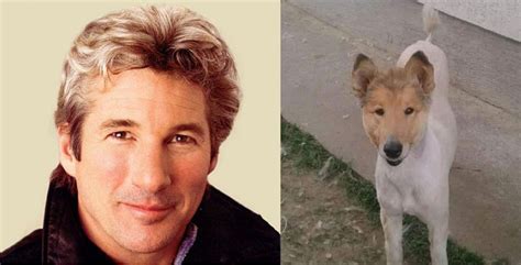 Why These Dogs Look Like Celebrities Is A Mystery We All Want Solved