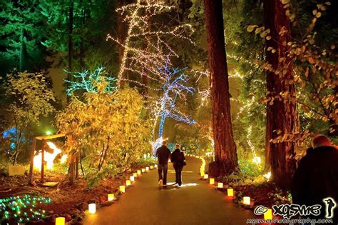 Here Are The Best 13 Places In Oregon To See Christmas Lights That