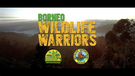 Borneo Wildlife Warriors Official Trailer 4k Sztv Youtube