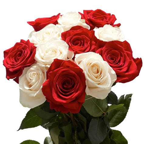 Globalrose 50 Stems Of Roses 25 Red And 25 White 50 Roses 25 Red 25