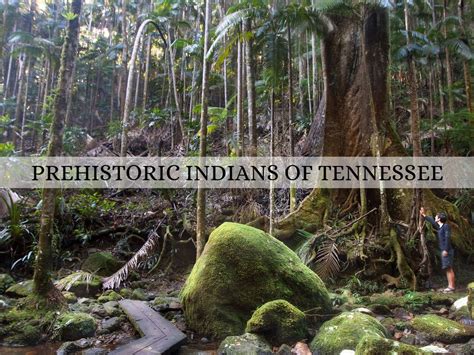 Prehistoric Indians Of Tennessee By Deneen Harrison