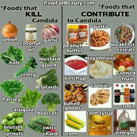 Clean Body Candida Diet Food List Candida Diet Recipes Candida Diet