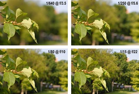 Depth Of Field Its More Than Just Aperture Boost Your Photography