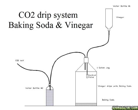 We did not find results for: CO2 generator diagram - 420 Magazine Photo Gallery
