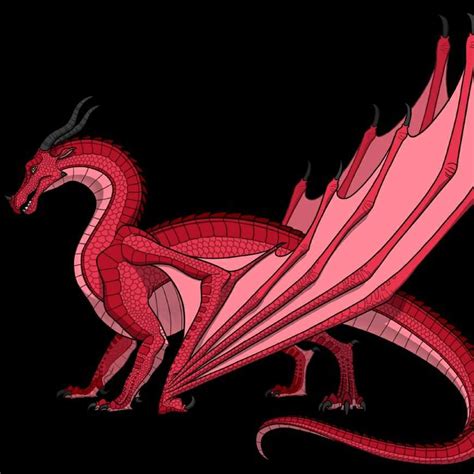 Princess Sunset Wiki Wings Of Fire Amino