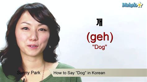How To Say Dog In Korean Youtube
