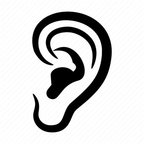 Auditory System Ear Earhearingauditory Hear Hearing Inner Ear