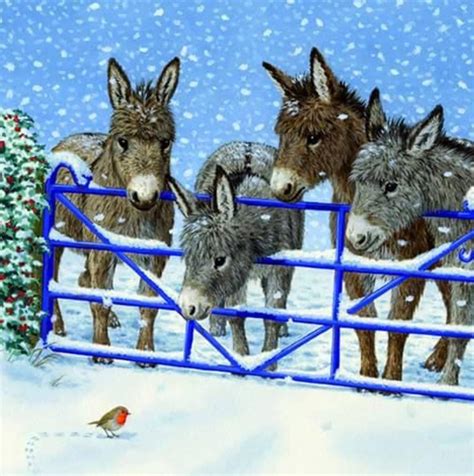 Merry Christmas Christmas Donkey Donkey Animals