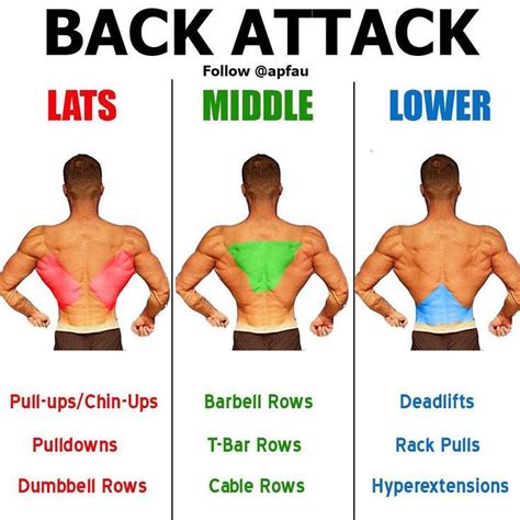 What Are The Most Beneficial Back Exercises Heres 8 Strengthening