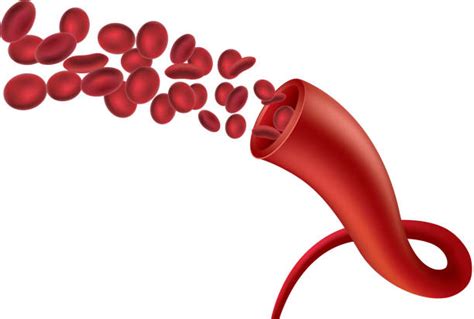 Best Red Blood Cell Illustrations Royalty Free Vector Graphics And Clip