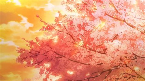 Scenery Orange Anime Wallpaper Anime Wallpaper Hd