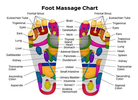 Reflexology Is Not A Foot Massage I Like This Foot Reflexology Map