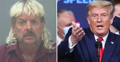 Joe exotic's lawyers are so sure the convicted netflix star will receive a pardon from donald trump , they reportedly have a limousine waiting outside his cell. How Joe Exotic's Legal Team Can Convince Donald Trump For ...
