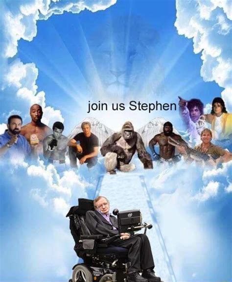 Heaven Calling Stephen Hawking Know Your Meme