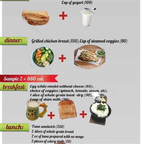 This Infographic Is Showing 2 Daily Meal Plan Samples For The 800 Calorie Diet P