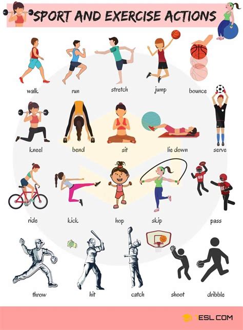 Learn Sport And Exercise Verbs In English ESLBuzz Learning English English Verbs English