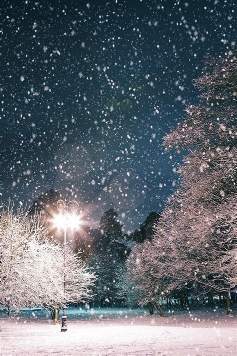 Free Download Winter Christmas Scenery Iphone Background Hd Iphone 5