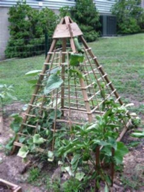 Farmer) did it, so that you can have your own rustic cucumber trellis for free. How to Build a Cucumber Trellis.