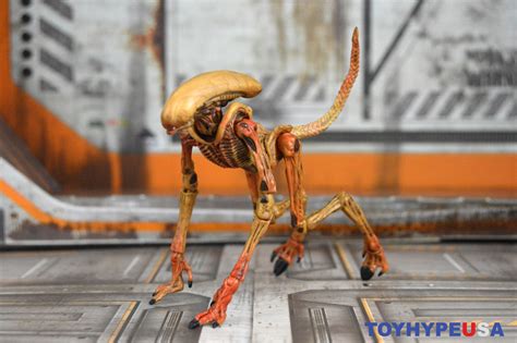Neca Toys Alien 3 Creature Pack Alien Resurrection