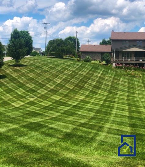 Diamond Pattern Grass Stripes Lawnmowing Grass Stripe Grass Landscape