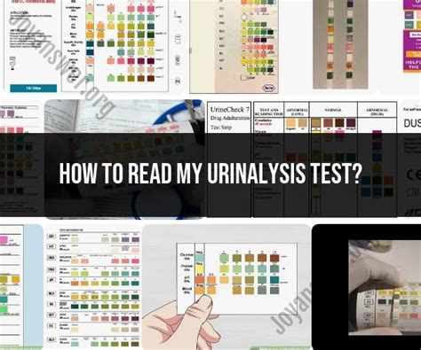 Reading Your Urinalysis Test Interpretation Guidelines JoyAnswer Org