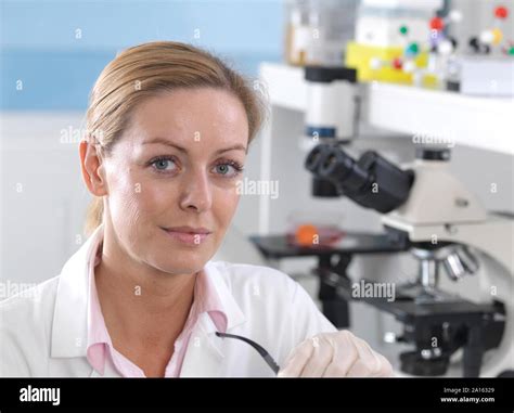 Scientist Working On A Research Project In The Laboratory Hi Res Stock