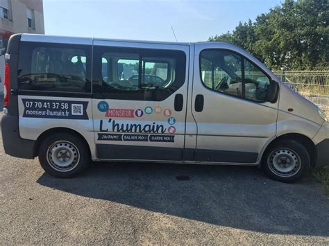 Taxi Animalier La Solution De Transport Pour Vos Animaux De Compagnie