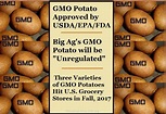 GMO Potatoes Coming Fall 2017 – Chemical Free Life