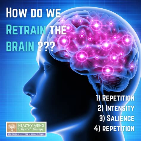 How Do We Retrain The Brain — Healthy Aging Physical Therapy