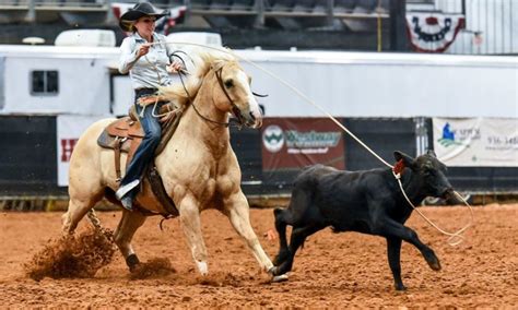 Rodeo 101 How To Host A Breakaway Roping Cowboy Lifestyle Network
