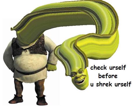Chek Urself Before U Shrek Urself Are You Frustrated Know Your Meme