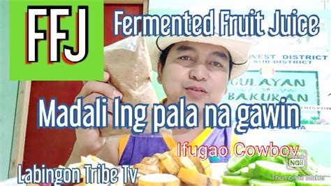 Ffjfermented Fruit Juice Pampabulalak At Pampabunga Ng Halaman