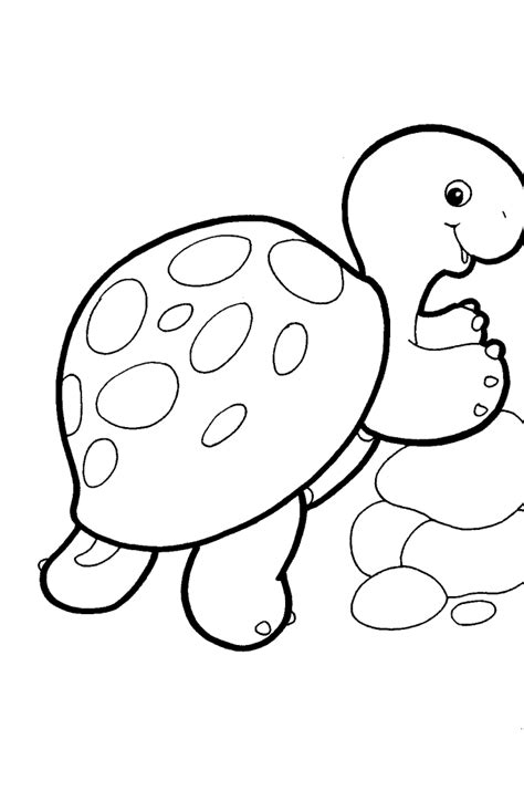 Baby Jungle Animals Coloring Pages Design Kids Design Kids