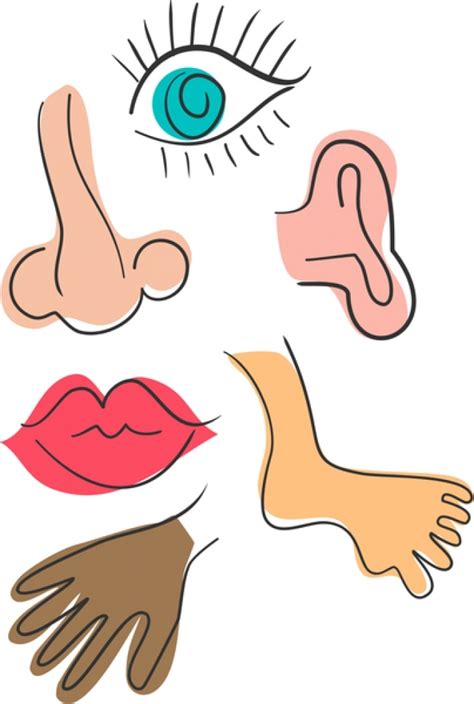 Parts Of The Human Body Clipart 20 Free Cliparts Download Images On