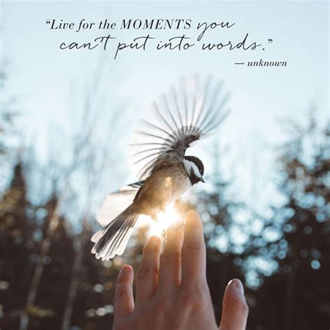 40 Living In The Moment Quotes And Photography Ideas Buzz 2018