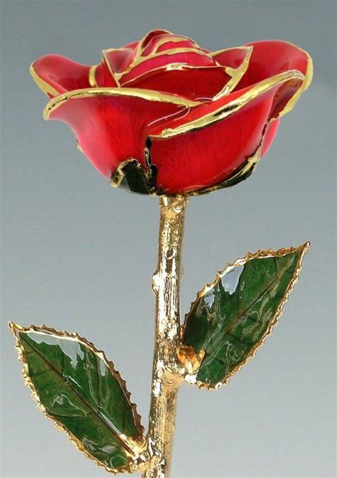 Real Preserved Roses Trimmed With Gold Dipped In Gold Rose Plated