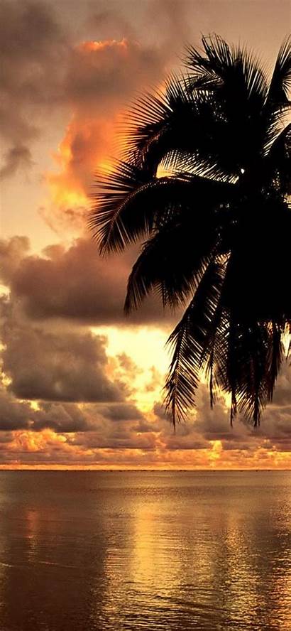 Iphone Hawaii Wallpapers Beach Plus Sunset Nature