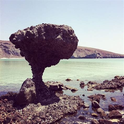 Fotos En Hongo De Balandra La Paz Baja California Sur