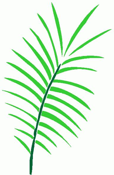 Palm Branch Image Clipart Best