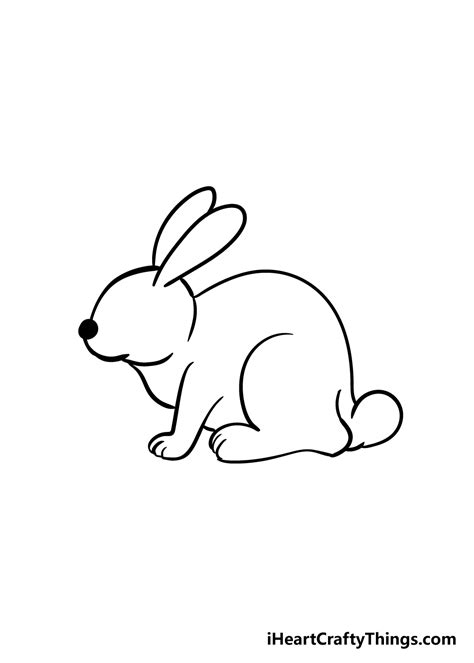 Rabbit Drawing How To Draw A Rabbit Step By Step