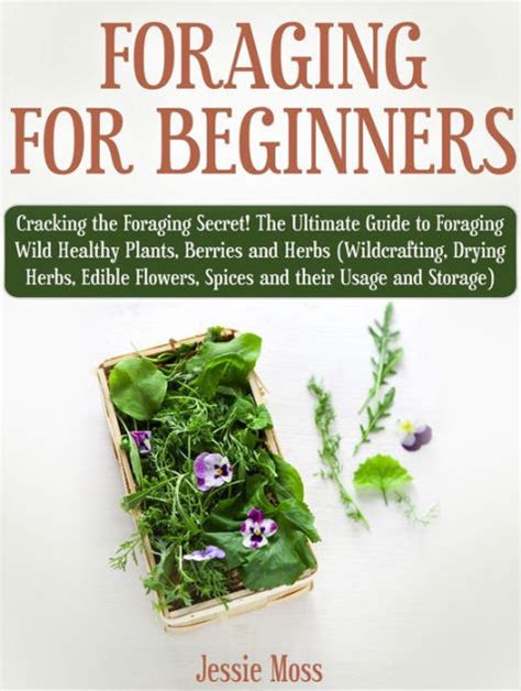 Foraging For Beginners Cracking The Foraging Secret The Ultimate