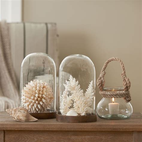 Wood Base Glass Dome Natural Glass Cloche Decor Glass Dome Display