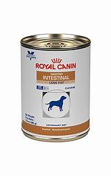 Royal Canin Gastro Intestinal Low Fat Canned Dog Food Images