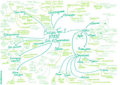 Aqa Biology Paper 1 Revision Mind Maps Teaching Resources