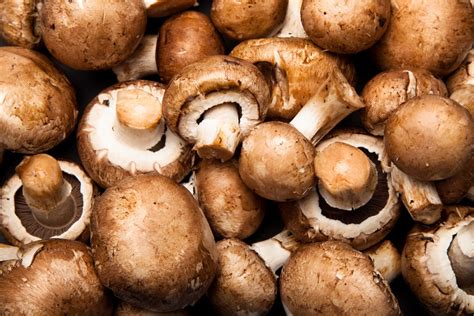 Freeze Dried Sliced Crimini Mushrooms Freeze Dry Wholesalers