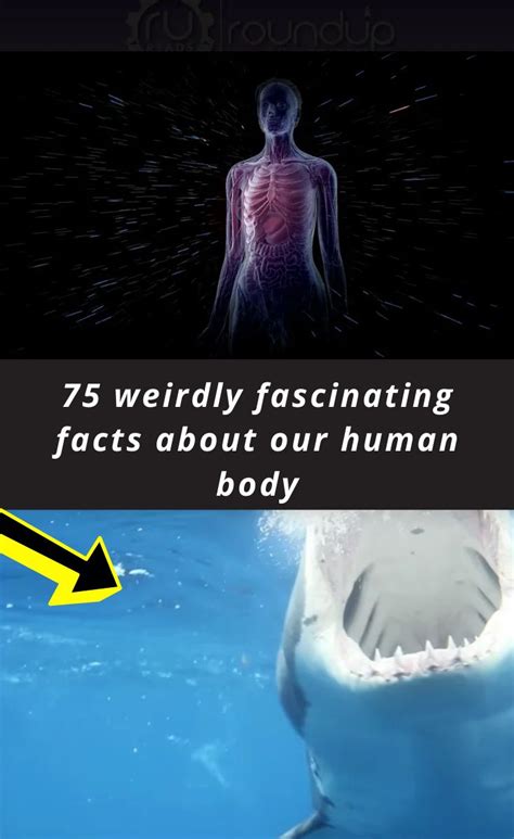 75 Weird And Freaky Facts About The Human Body Interesting Facts