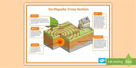 Earthquake Plate Diagram Poster Year 5 And 6 Twinkl