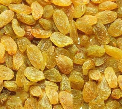 Yellow Seed Raisin At Rs 200kilogram Yellow Raisins In Vijayapura